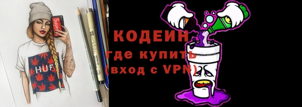 мдпв Костерёво