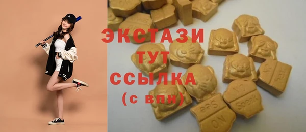 дмт Кинешма
