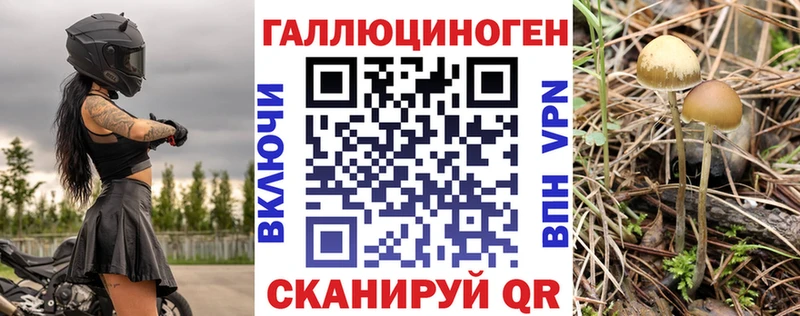 блэк спрут вход  Киренск  Псилоцибиновые грибы MAGIC MUSHROOMS 